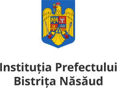 Institutia Prefectului BN