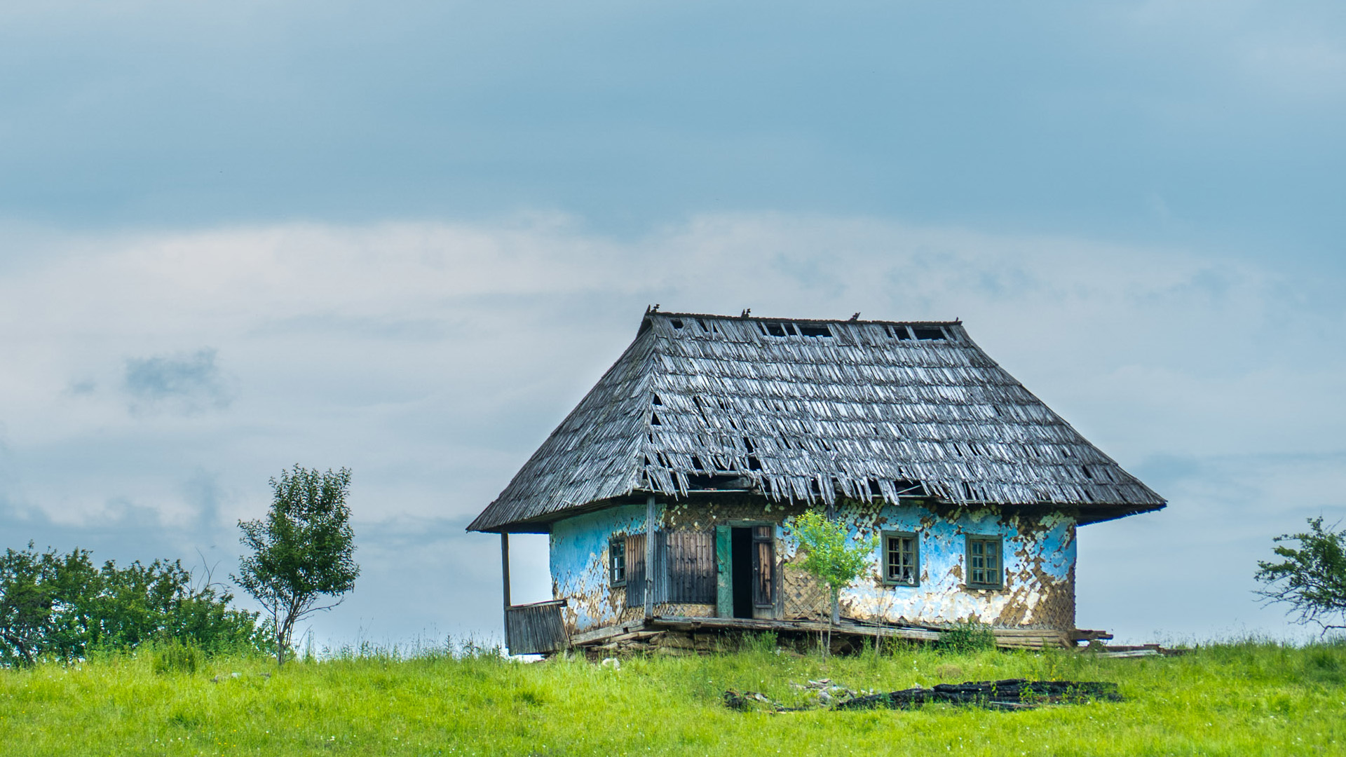 Bucovina